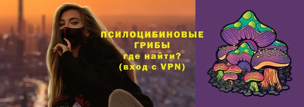 эйфоретик Карпинск