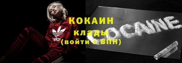 эйфоретик Карпинск