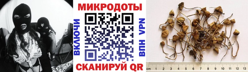 Псилоцибиновые грибы мицелий  Красноармейск 