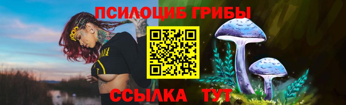 Псилоцибиновые грибы прущие грибы Красноармейск